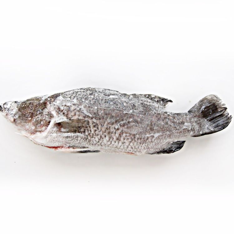 山泉水鱸魚 (整尾)
